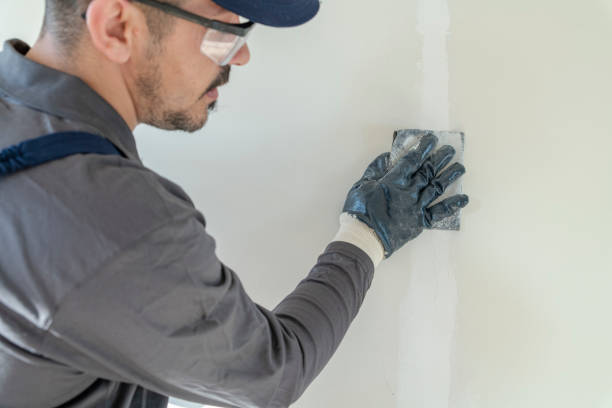 Best Emergency Mold Remediation  in Pineville, NC