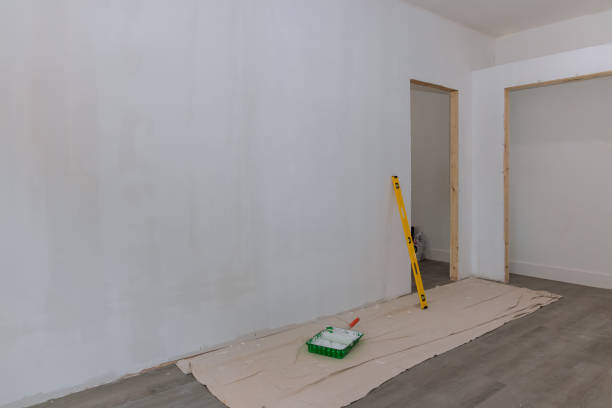 Professional Mold Removal in Pineville, NC