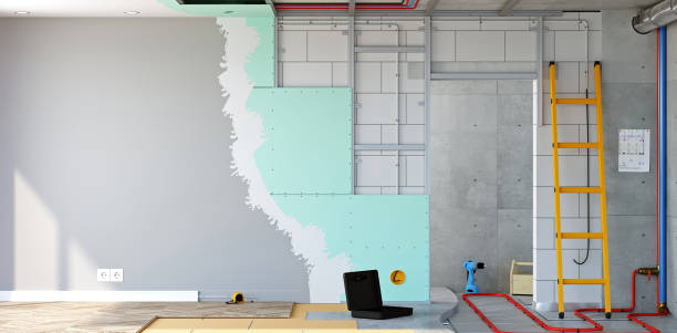 Best Basement Mold Removal  in Pineville, NC