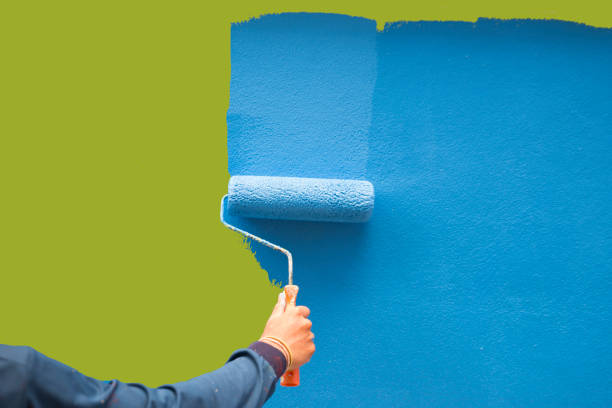 Best Biohazard Mold Removal  in Pineville, NC