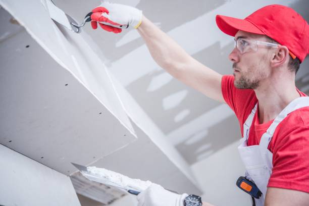 Best Residential Mold Inspection & Testing  in Pineville, NC