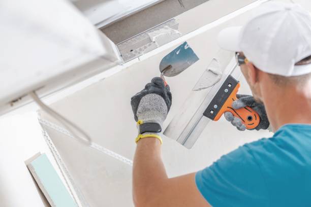Best Black Mold Removal  in Pineville, NC